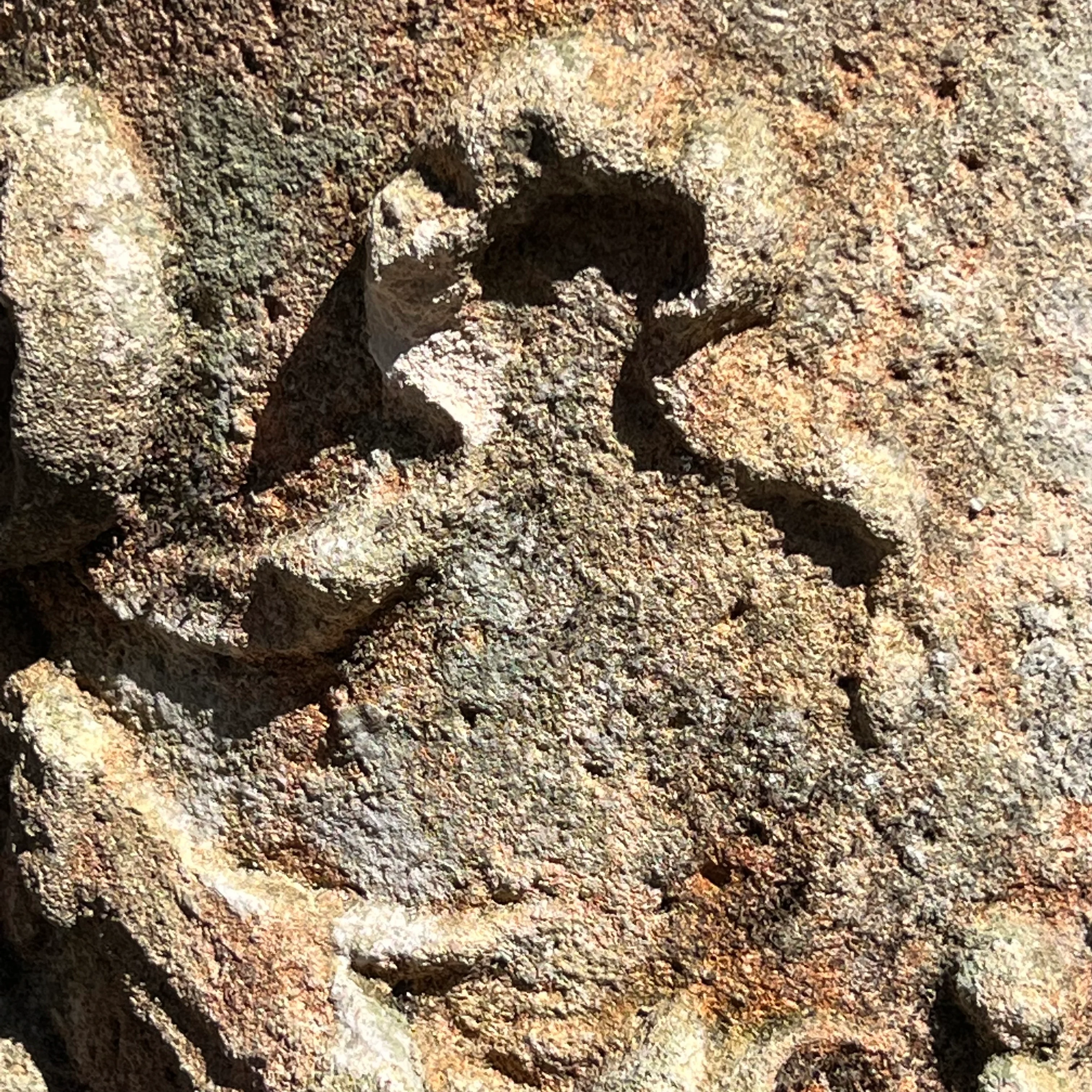 A Baroque Italian Carved Vicenza Stone Pedestal/Pillar c.1580 - Image 9