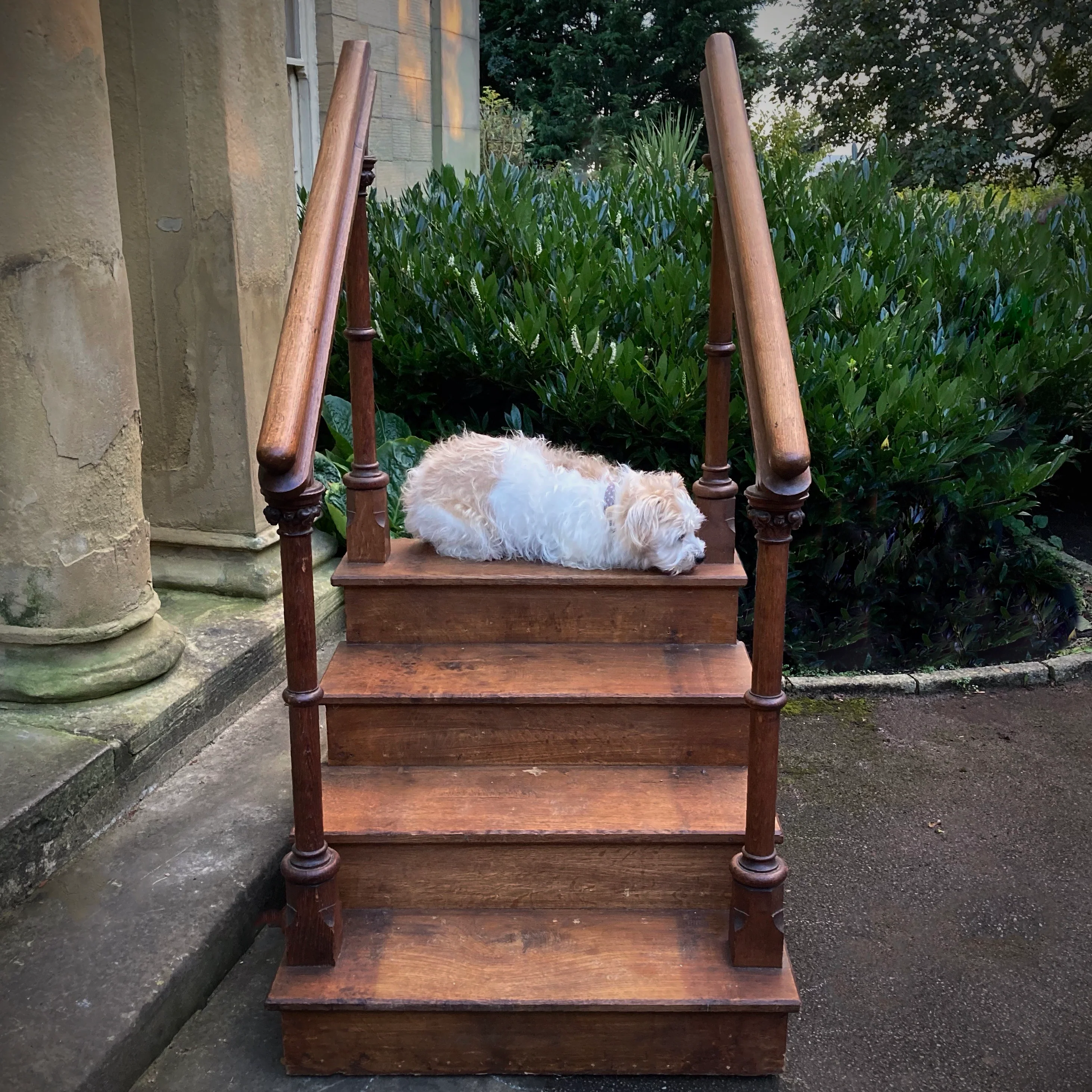 Arts & Crafts Library Steps c.1890 - Image 4