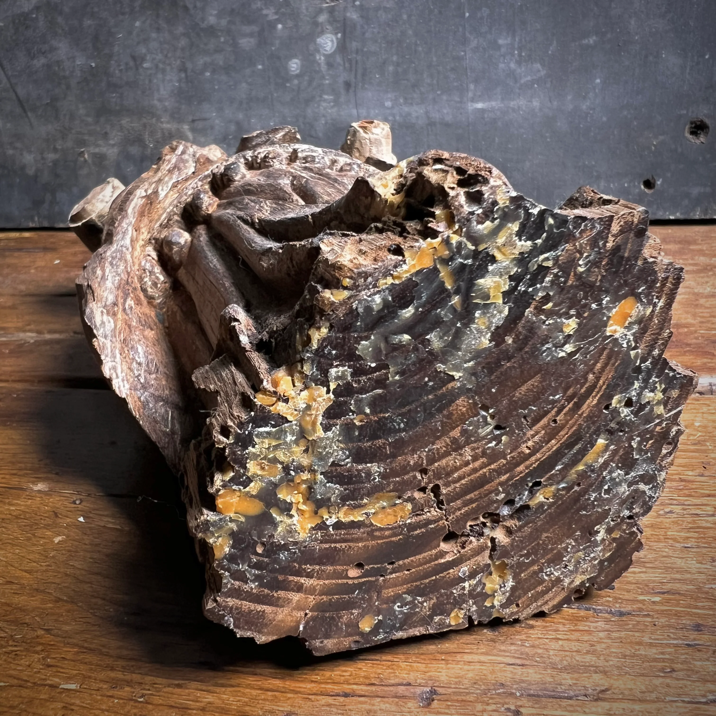 Late Gothic Carved Walnut Figure of a Crowned Female Saint, Southern Europe, 15th–Early 16th Century - Image 16