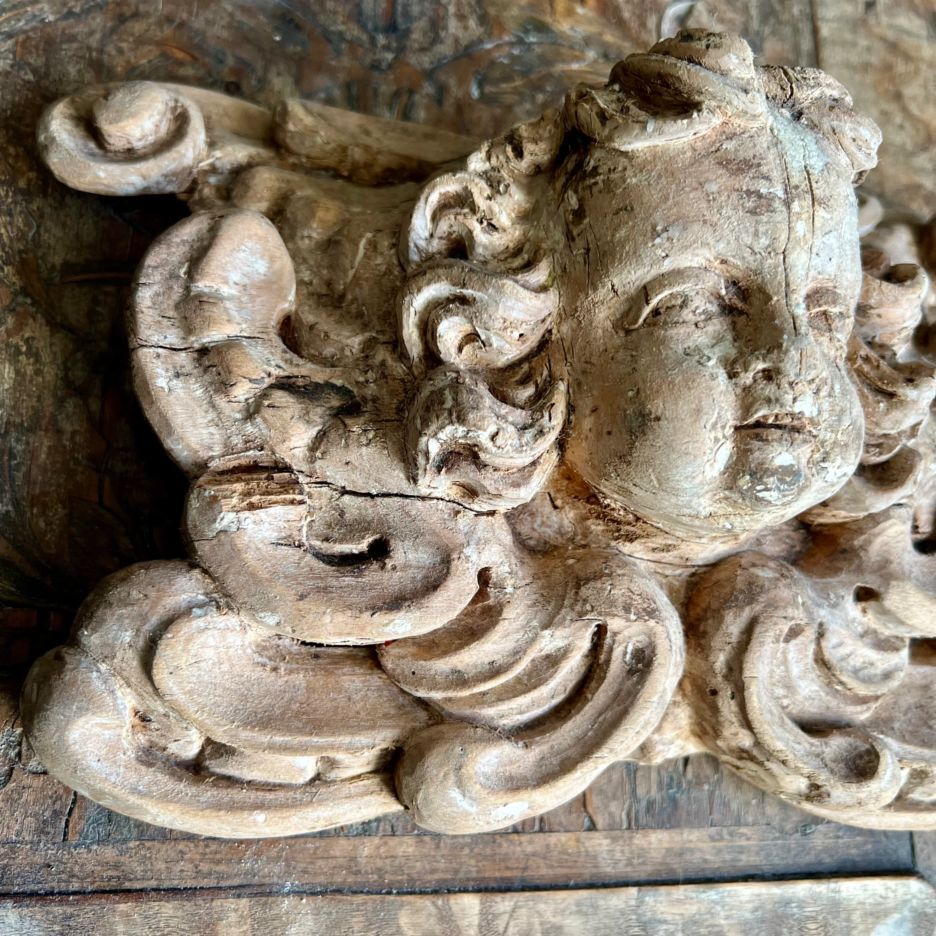 Italian Baroque Carved Limewood Cherub or Angel Carving with Acanthus Scrolls, c.1680–1720 - Image 12