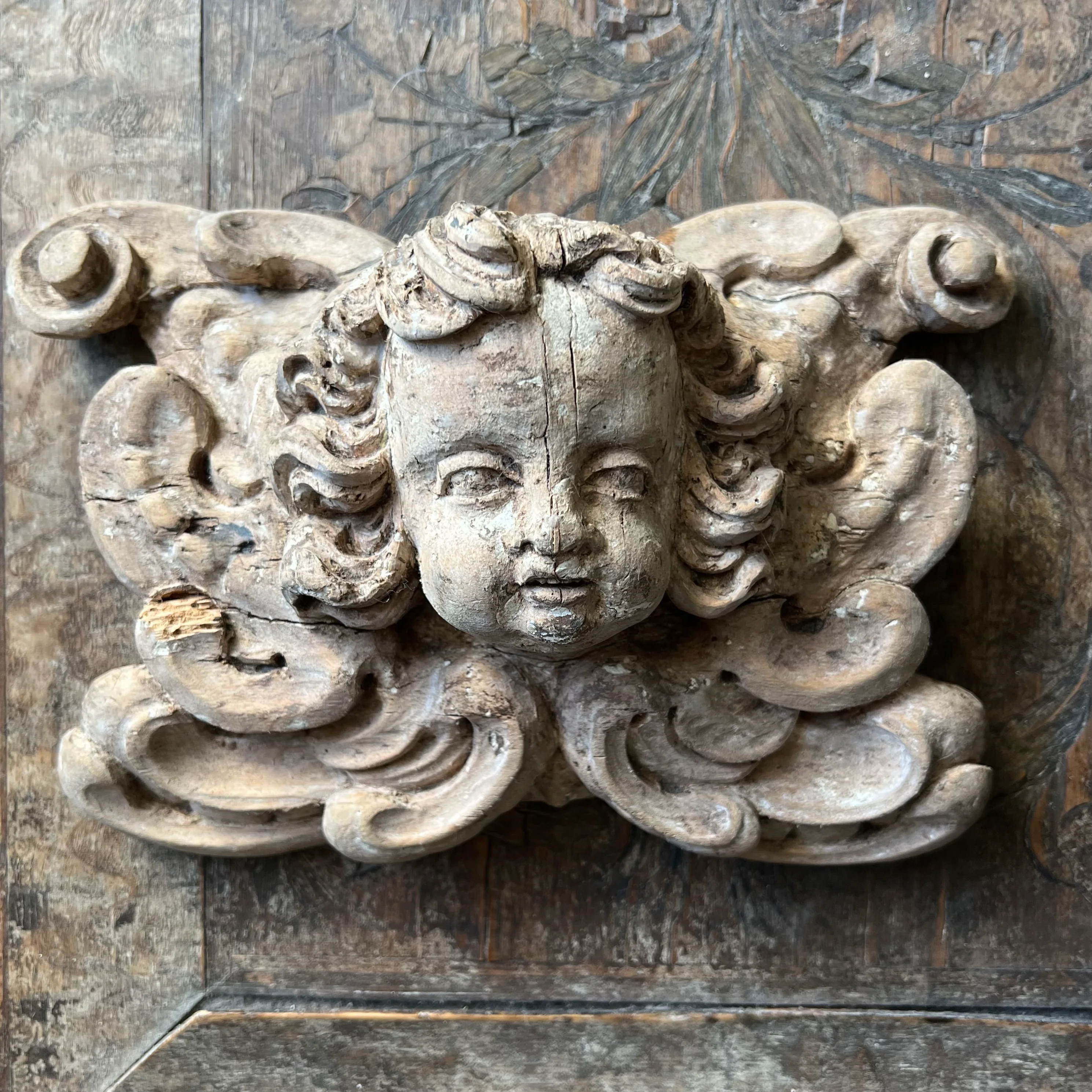 Italian Baroque Carved Limewood Cherub or Angel Carving with Acanthus Scrolls, c.1680–1720 - Image 14