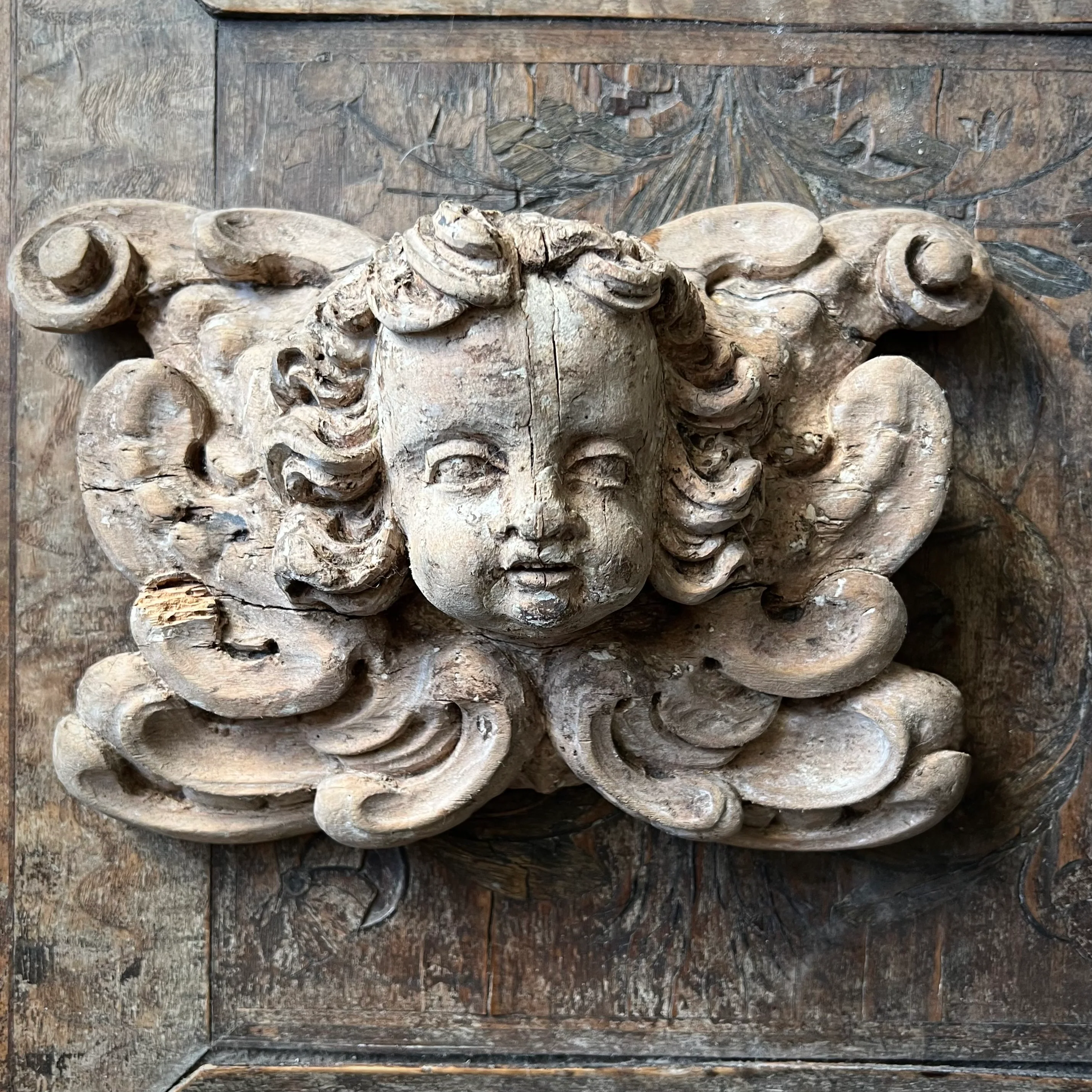 Italian Baroque Carved Limewood Cherub or Angel Carving with Acanthus Scrolls, c.1680–1720 - Image 3