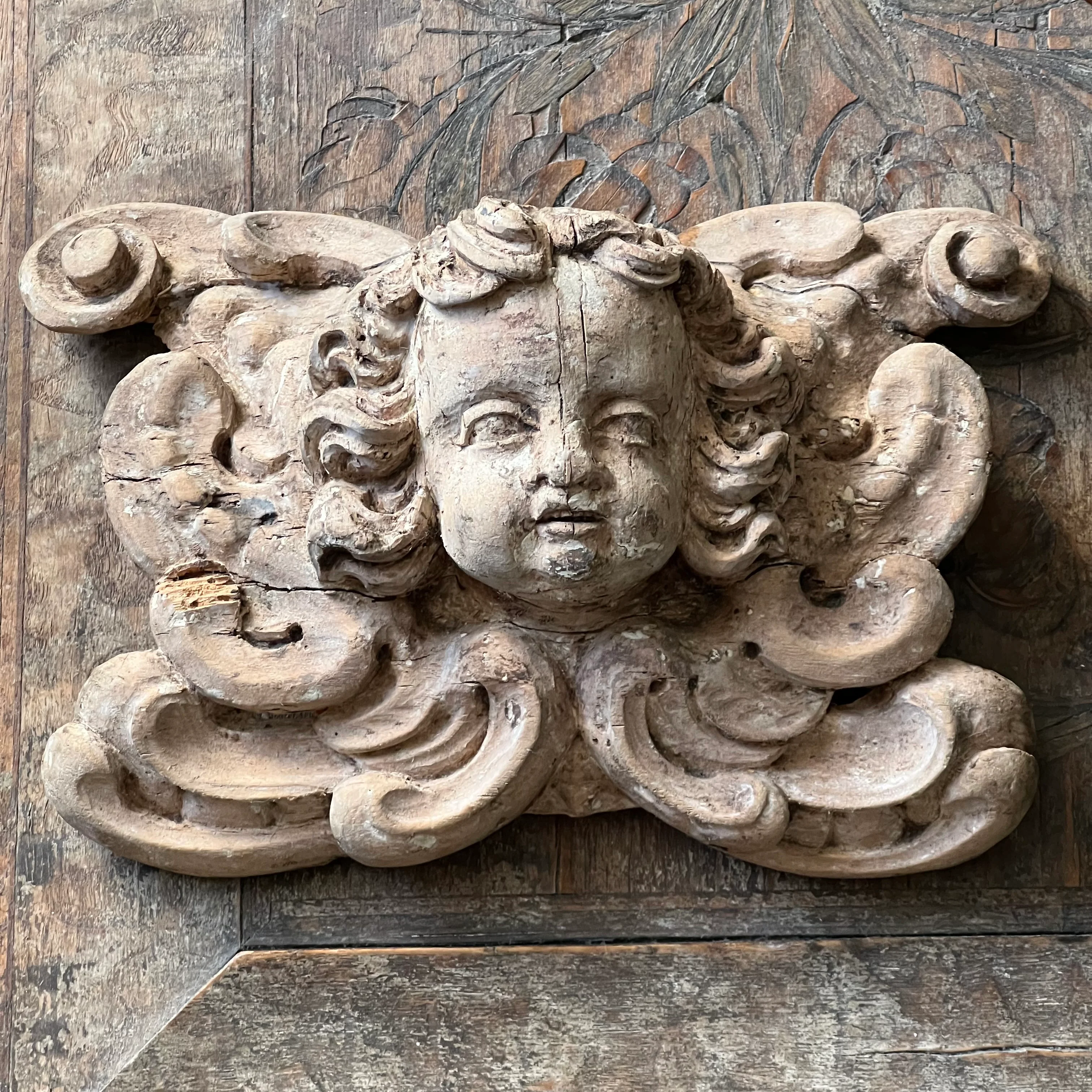 Italian Baroque Carved Limewood Cherub or Angel Carving with Acanthus Scrolls, c.1680–1720 - Image 6
