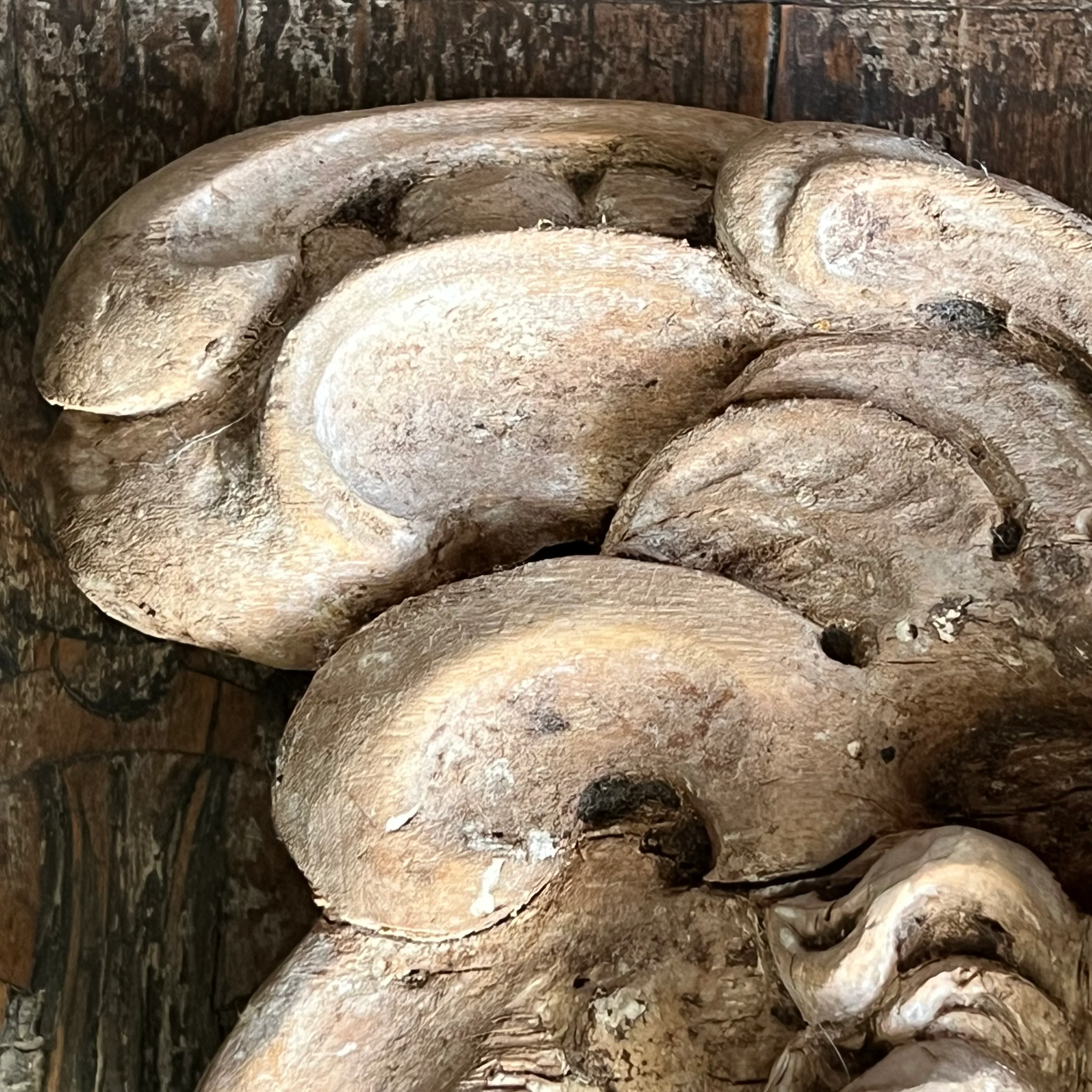 Italian Baroque Carved Limewood Cherub or Angel Carving with Acanthus Scrolls, c.1680–1720 - Image 7