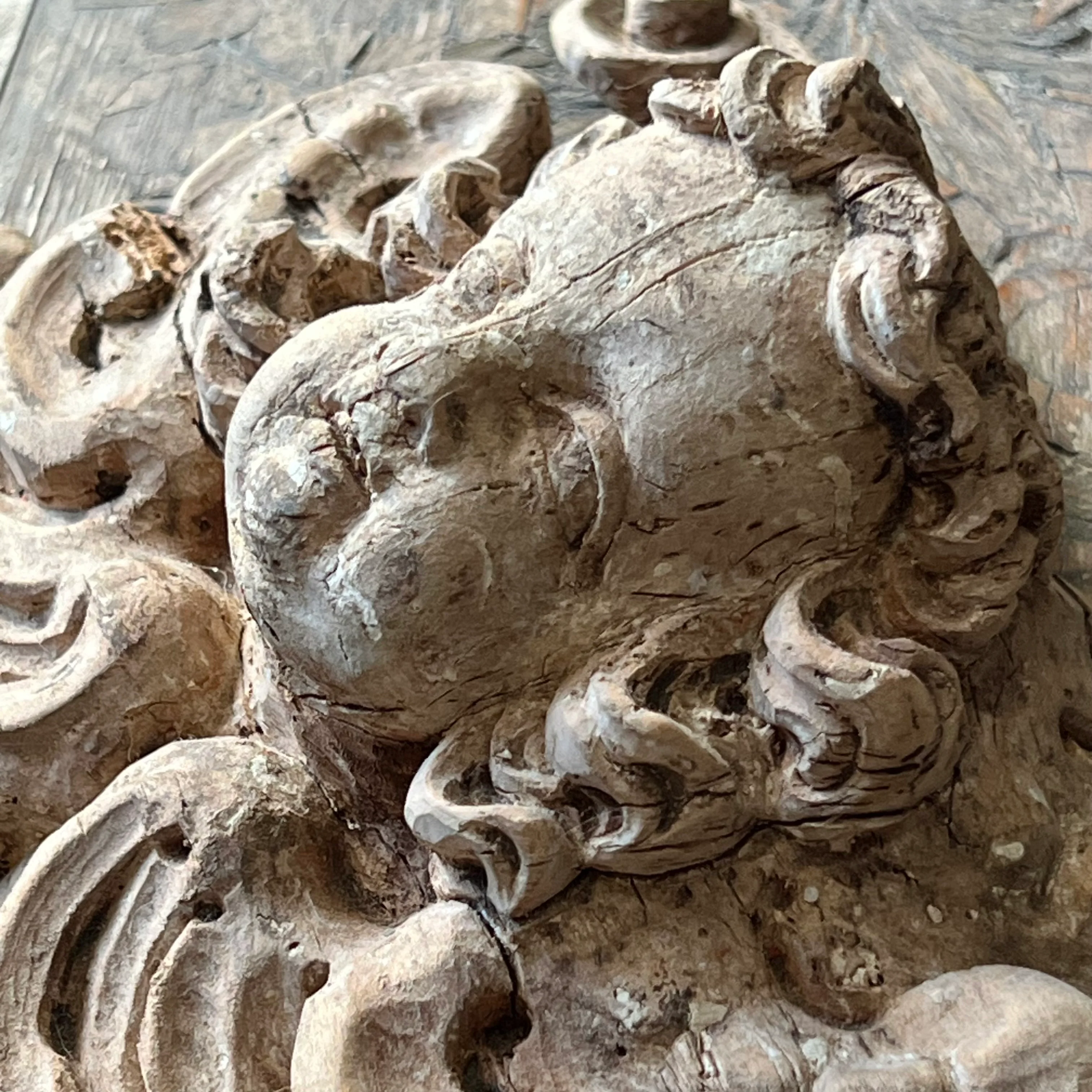 Italian Baroque Carved Limewood Cherub or Angel Carving with Acanthus Scrolls, c.1680–1720 - Image 9