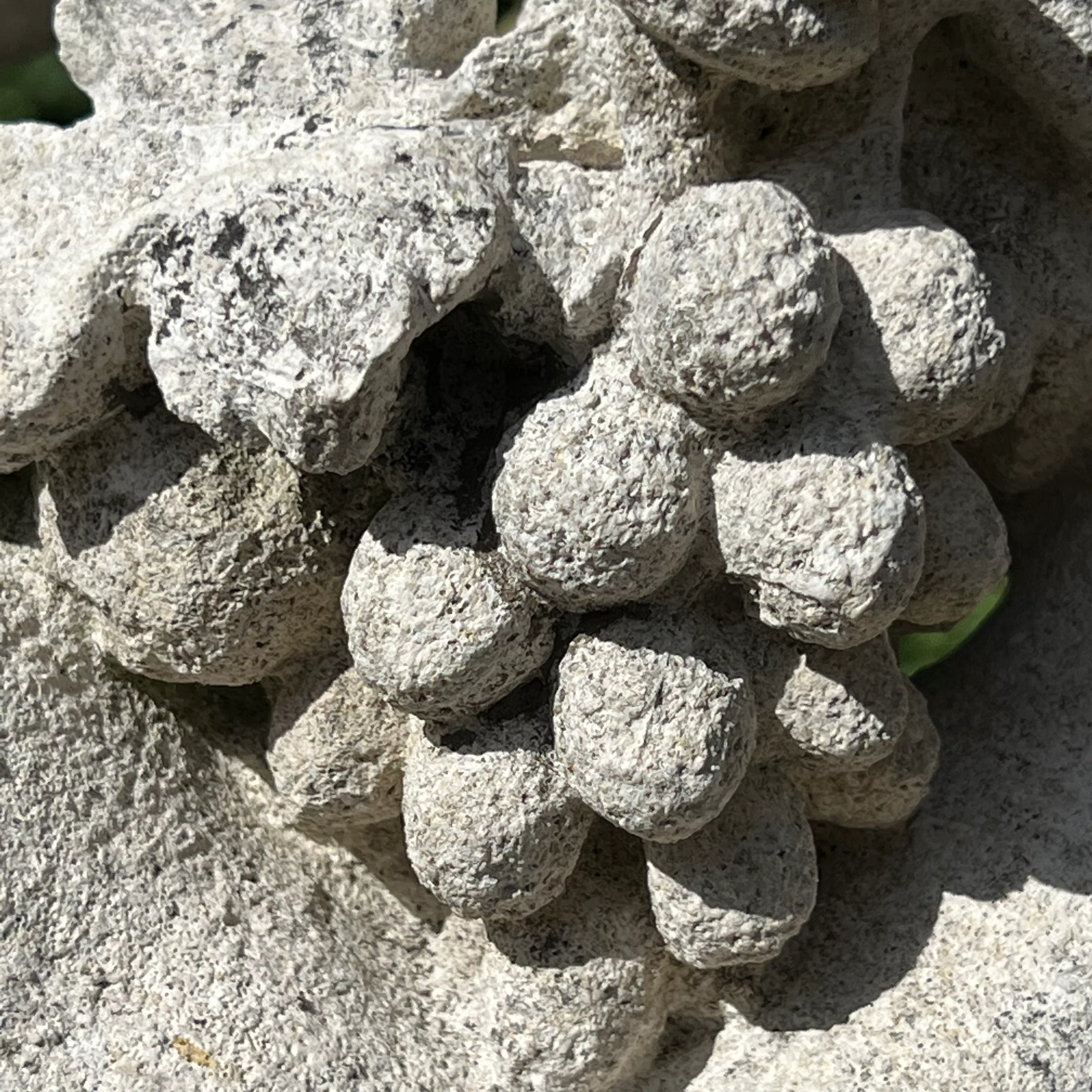 French Limestone Four Seasons Statues with Plinths c. Late 17th/Early 18th Century - Image 25