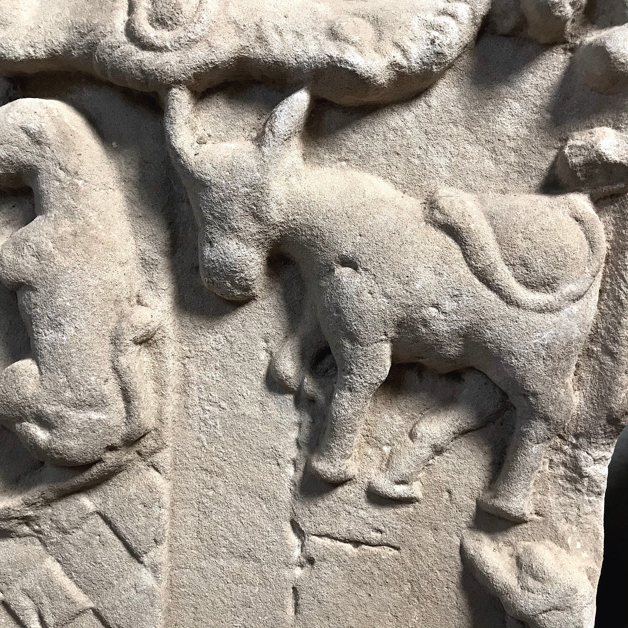 Monumental Spanish Carved Stone Heraldic Shield 16th Century - Image 8