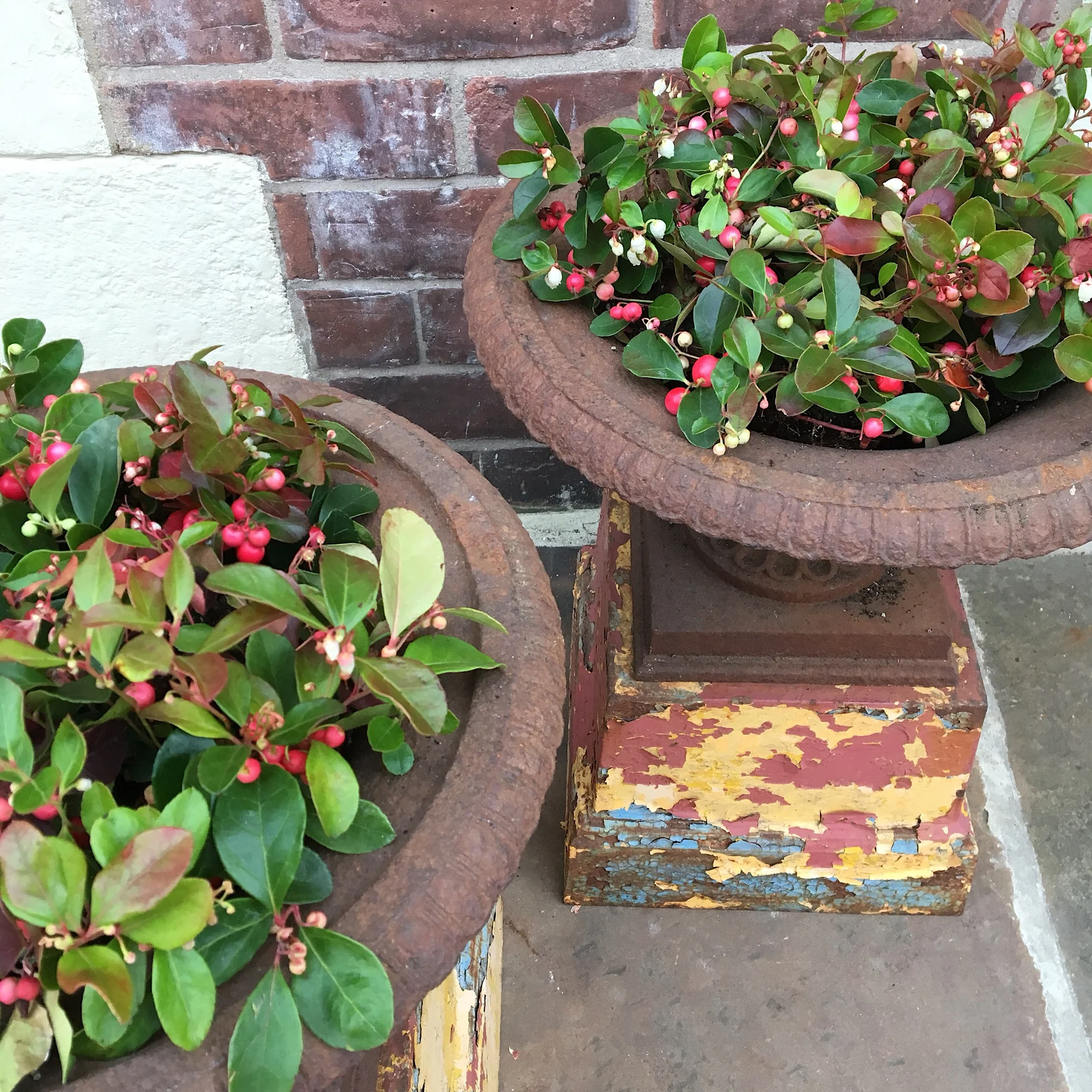Pair of Cast Urns on Coloured Pedestals - Image 5
