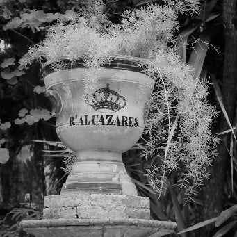Three 19th Century Faience Spanish Campana Vases from the Real Alcázar de Sevilla (Royal Alcázar Palace of Seville) - Image 17